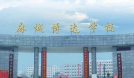 博达学院最新爆料,揭秘学院内部惊人真相！